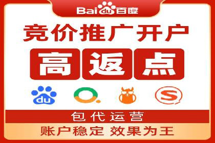 SEM托管成功案例：揭秘高效广告投放策略